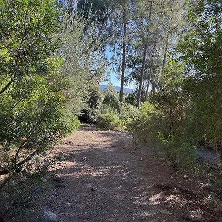 בית נופש Lentisco Terra E Mare פורטו אזורו